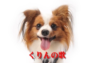 �����̉�